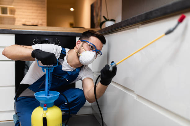 Best Pest Control Near Me in Glen Carbon, IL