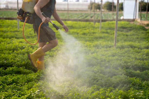 Best Best Pest Control Near Me  in Glen Carbon, IL