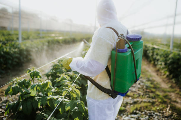 Wasp Removal Services in Glen Carbon, IL